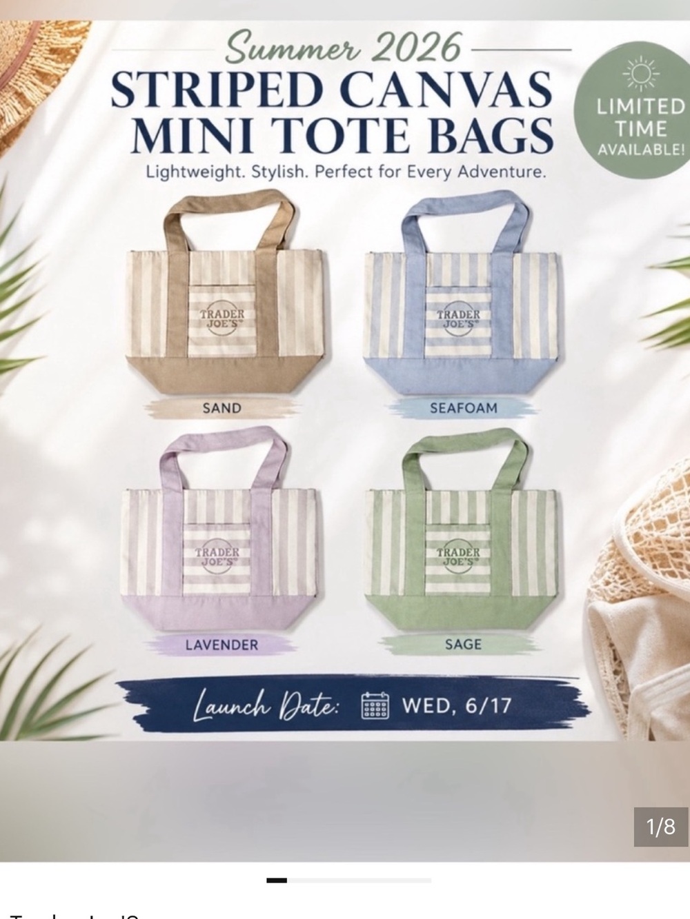 NWT Trader Joe's Set of 4 Pastel Striped Canvas Totes